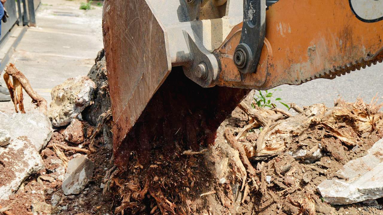 WhatsApp Image 2026 03 06 At 2.17.51 PM